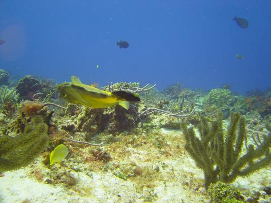 dsc02212.jpg