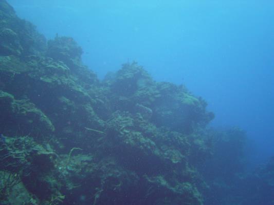 dsc02248.jpg