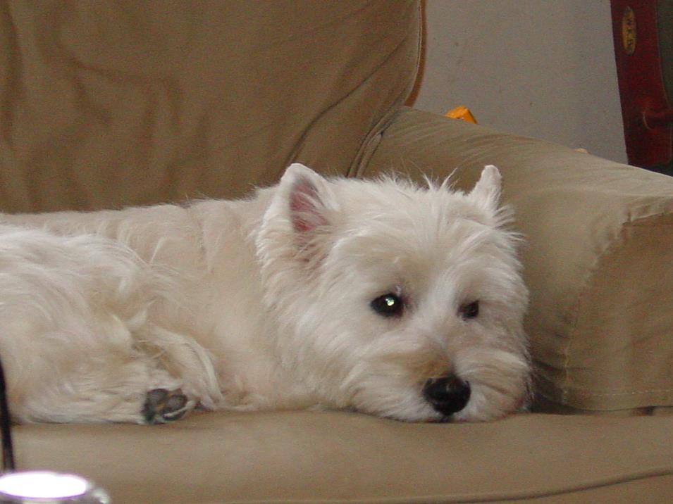 DSC03509.JPG