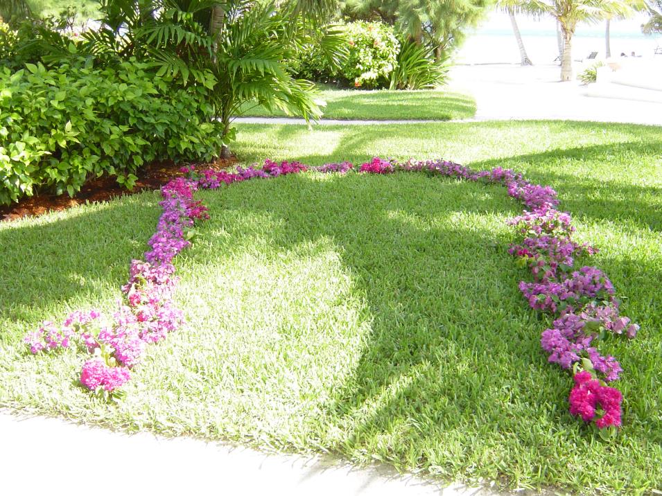 20091030_02.JPG
