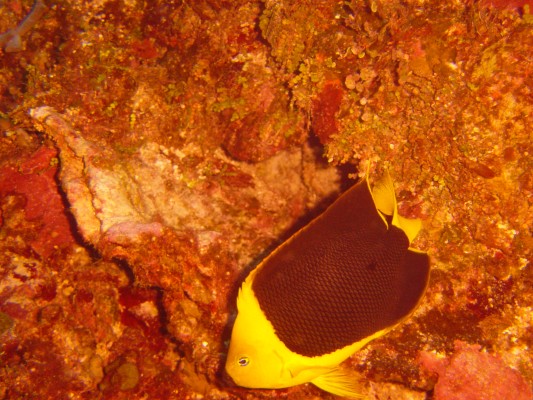 DSC00735.JPG