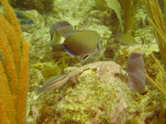 DSC00872.JPG