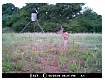 AMDGC0016.jpg