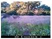 MDGC0078.jpg