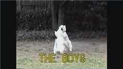Cory and Primo fighting at Purdue